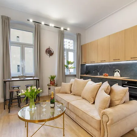 Vintage Grey Mtp Sala Ziemi Stare Zoo Appartement