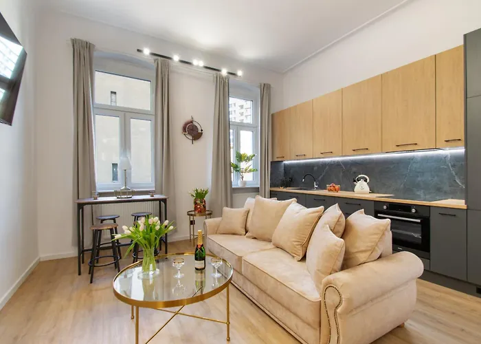 Vintage Grey Mtp Sala Ziemi Stare Zoo Daire